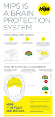 0101-12365 . Range MIPS® Helmet