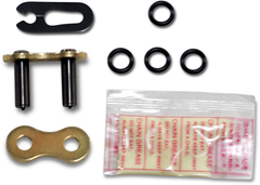 1225-0569 . ZJ520VX3G . 520 VX3 Professional O-Ring Connecting Link