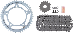 1230-0364 . DKS-002 . X-Ring® Chain Kit